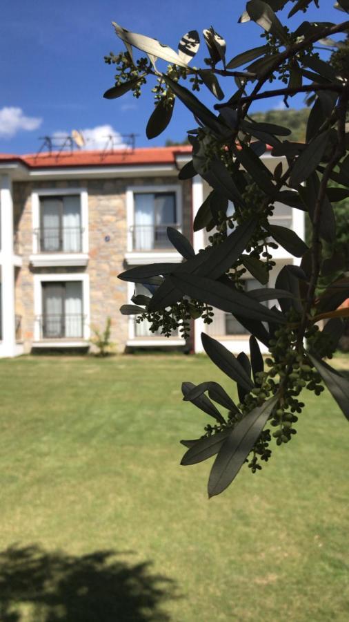 Oliva Casa Apart Hotel Датча Экстерьер фото